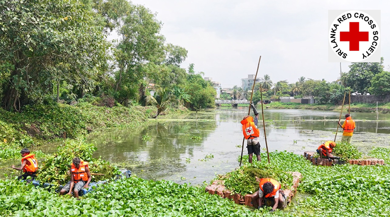 කොළඹ ගංවතුර පාලනයට රතුකුරුසය මැදිහත් වෙයි